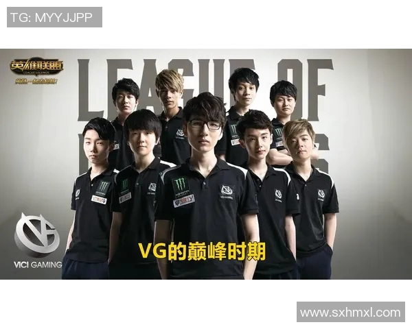 vg战队比赛-VG战队比赛，一场电竞盛宴的展现-vg战队比赛