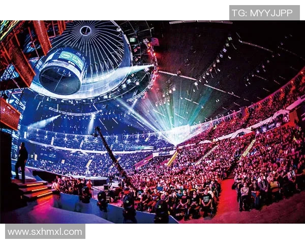 ceg比赛-CEG比赛，电竞荣光与激烈对抗的舞台-ceg比赛